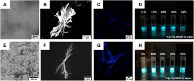 Fatty Acids/Tetraphenylethylene Conjugates: Hybrid AIEgens for the Preparation of Peptide-Based Supramolecular Gels